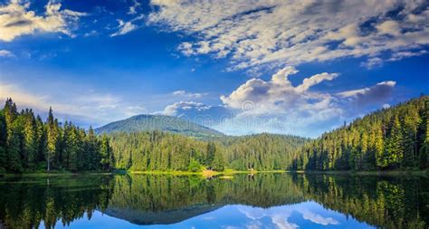 Perfect Reflection Of Misty Forest In Lake Stock Photo Image Of Blue