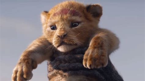The First Trailer For Disneys The Lion King Remake Just Dropped Tyla