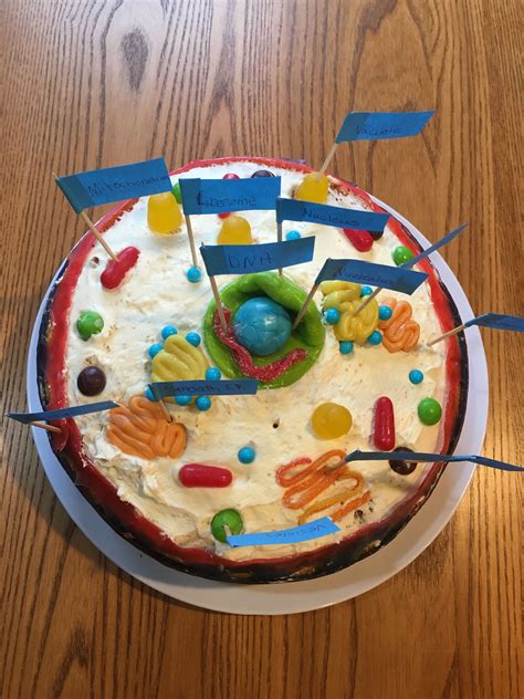 Edible 3d Animal Cell Two 9 Cakes Wrapped With A Few Fruit By The