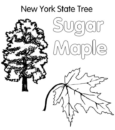 See nursery stock availability page for status of availability since at the saratoga state tree nursery, the beach plums in the seed production orchard have excellent crops of. New York State Assembly - Kids Page