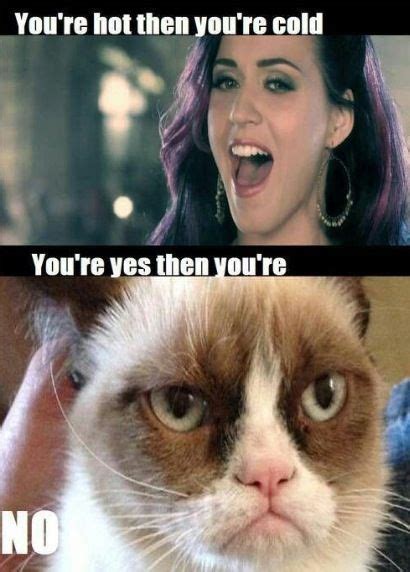 Love Katy Perry And Love Grumpy Cat Grumpy Cat Humor Grumpy Cat Meme