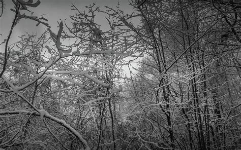 Winter Wonderland Scene And Landscape Photograph By Catherine Landry