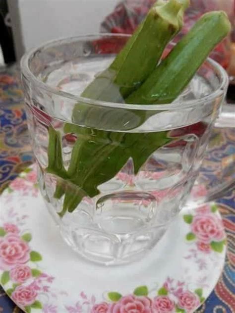 Buah pinggang yang rosak akan berhenti mengeluarkan. Air Rendaman Bendi, Ikhtiar Penyembuh Kencing Manis Yang ...