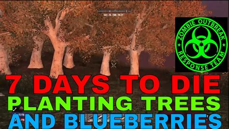 You can revive your dying cactus by following one of these 10 quick steps. 7 DAYS TO DIE HOW TO PLANT TREES AND BLUEBERRIES - YouTube