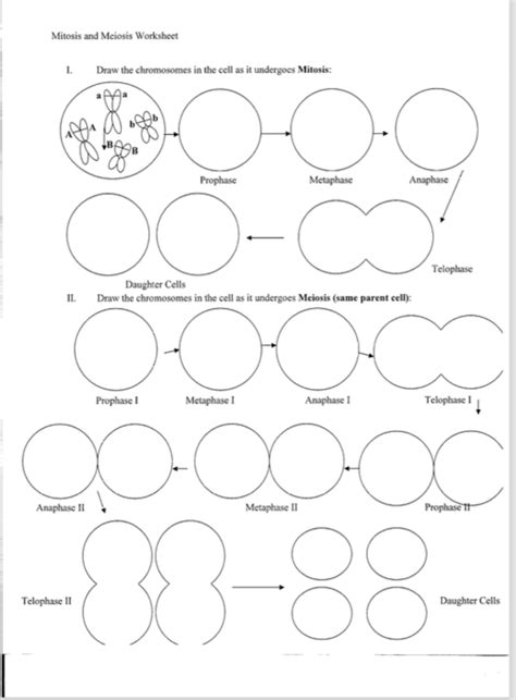 Both types of cells undergo cell division, but only eukaryotic cells experience cell division through meiosis is also a form of cell division and reproduction! Draw The Chromosomes In The Cell As It Undergoes M ...