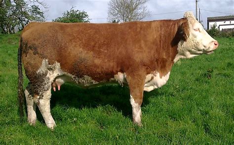 Gaviscon double action gets to work instantly in. EUNICE