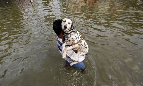 Flood Waters Swirl In South India Even As Rain Eases World Dawncom
