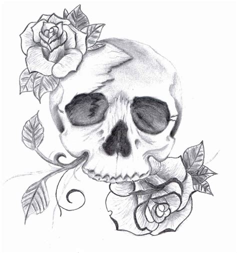 List 104 Pictures Skull Pictures To Draw Stunning