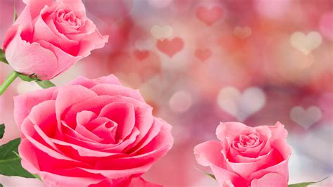 Fondos De Pantalla Rosas Rosas Fondo De Corazones De Amor Romántico