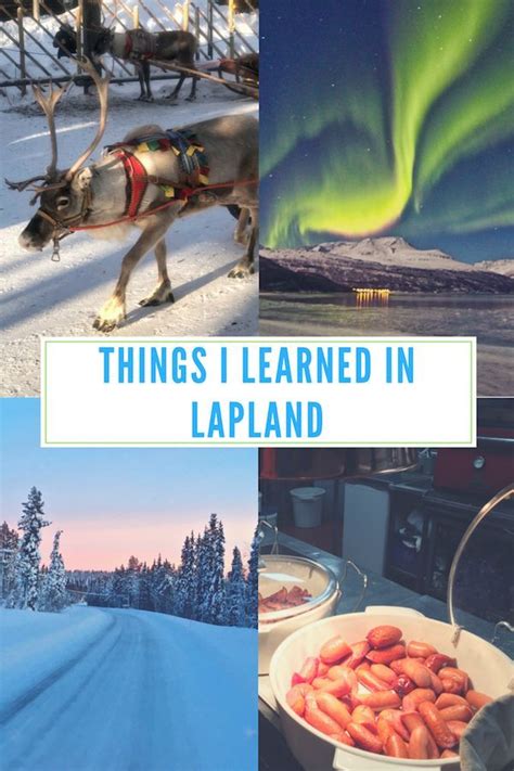 Things I Learned In Lapland Finland Travel Lapland Europe Travel