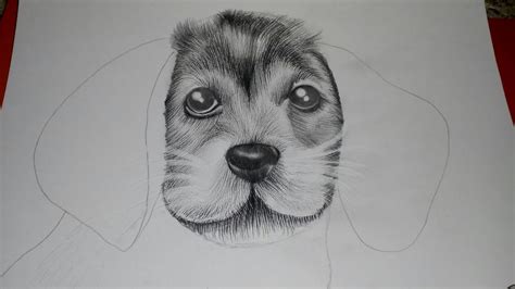 What is on topic content? How to draw realistic fur of dog/part 1/animal fur tutorial for beginners - YouTube