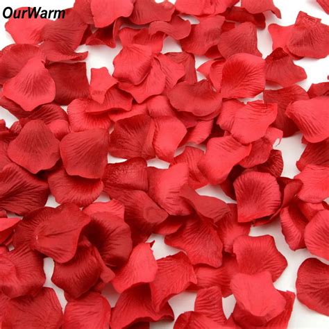 Ourwarm 100pcs Silk Rose Artificial Flower Petals Real Touch Fake