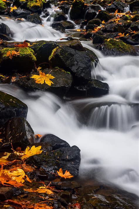 Stravation Creek In Autumn Photograph By Vishwanath Bhat Pixels