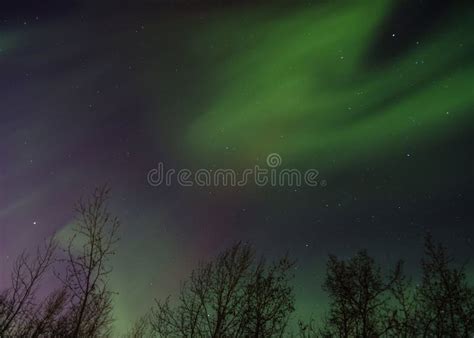 Aurora Borealis Stock Photo Image Of Blue Borealis 46416078