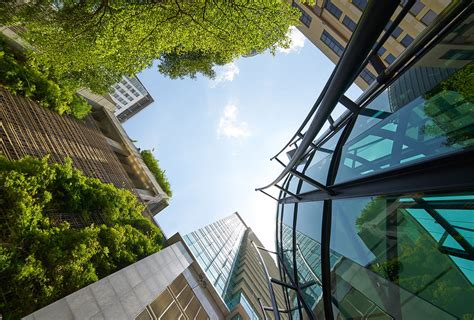 Colliers | Is There a Greener Pasture in the Philippine Real Estate Market?