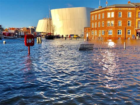 Ein nettes team wartet auf euch. HST Hochwasser Jan. 2019 | Hochwasser, Stralsund, Haus