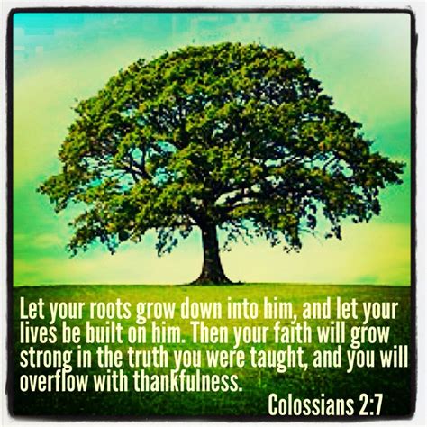 29 Best Roots In Christ Images On Pinterest Christian Quotes