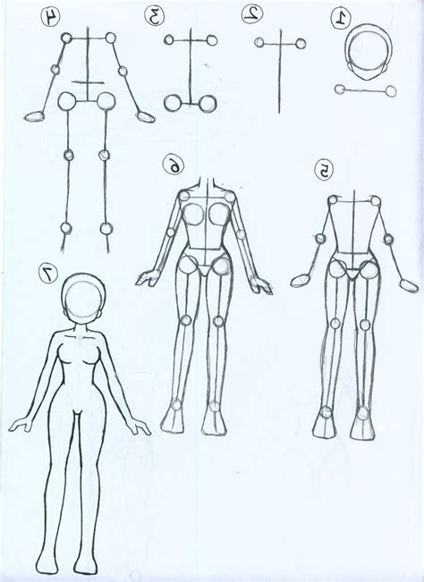 Male Body Skecth Sample