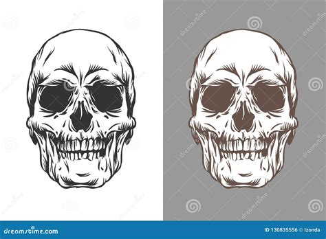 Vector Illustration Of Human Skulls In Engraving Style Black And Brown