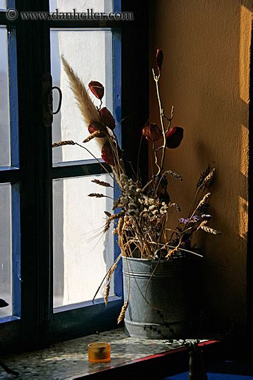 Dried Flowers In Window