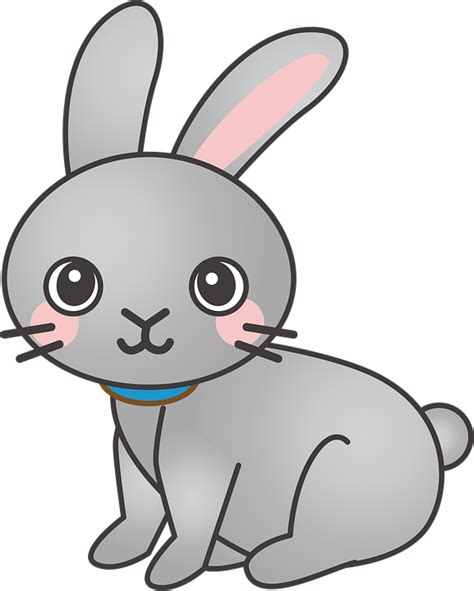 อันดับหนึ่ง 93 ภาพ Rabbit ประกันสุขภาพ ครบถ้วน