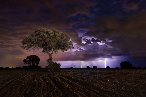 Dark Landscape Field Night Storm Sky Trees Lightning Wallpapers