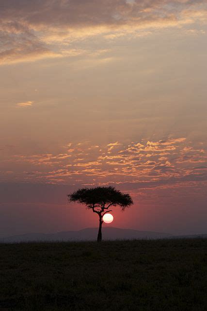 Sunrise At Masai Mara African Sunset Beautiful Landscapes African