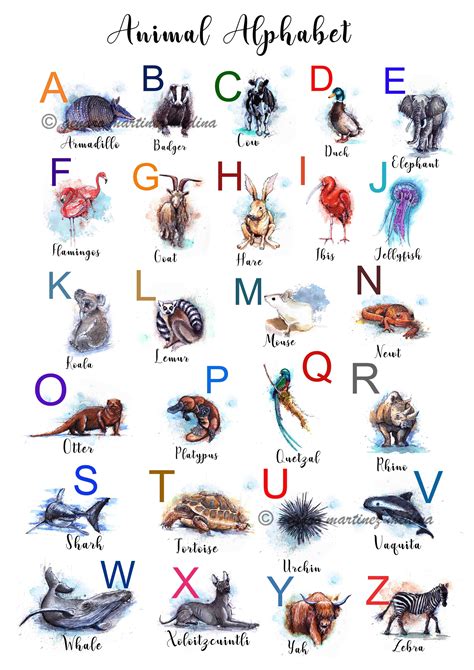 36 Alphabet With Animal Names The Latest Temal