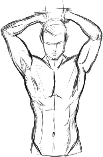 How To Draw A Male Body The Great Thing In Illustrator Is That You Can Add