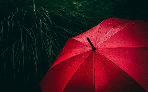 Umbrella Wallpapers 4k Hd Umbrella Backgrounds On Wallpaperbat