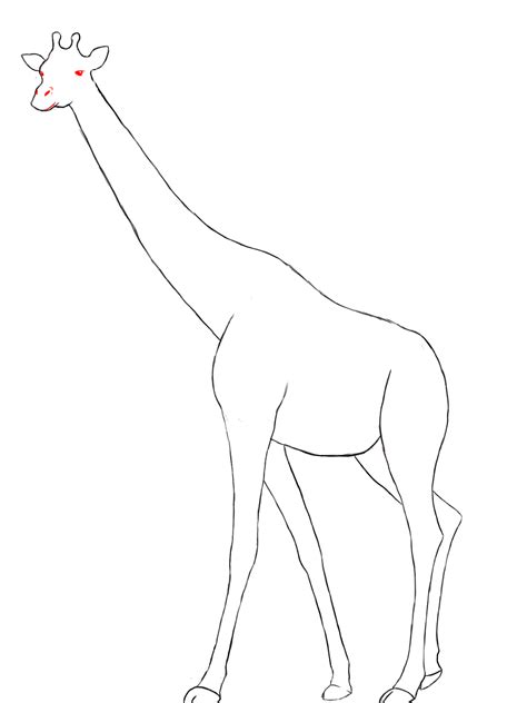 Giraffe Drawing Easy At Getdrawings Free Download