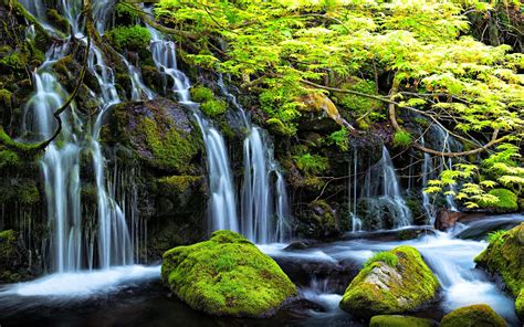 Stream Waterfall In Spring Rocks With Green Moss Clear Water Green Trees Shrubs Landscape