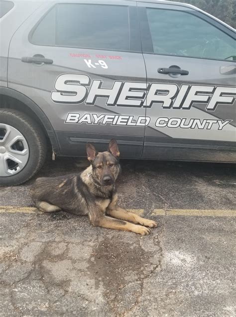 K9 Parker Checking In Bayfield County Sheriffs Office Facebook