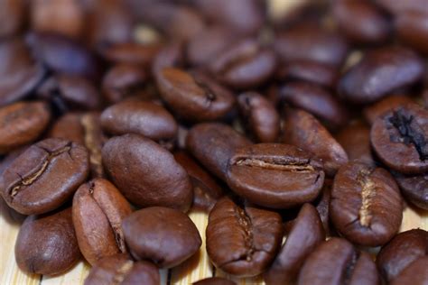 jenis kopi arabika  terkenal  indonesia uklisnet