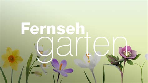 It is a seasonal live programme which airs only during the summer months with 16 to 21 episodes being. ZDF-Fernsehgarten - ZDFmediathek
