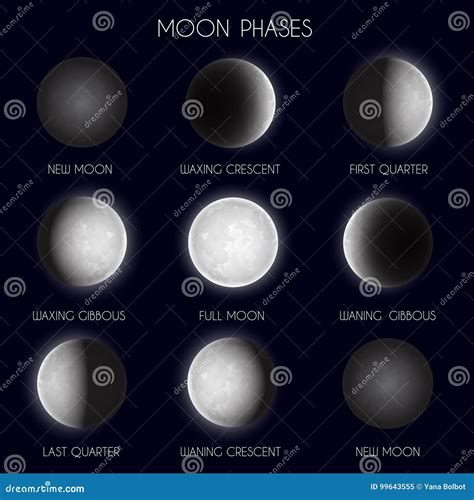 Moon Phases Night Space Astronomy Stock Vector Illustration Of Full