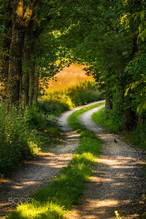 Countryside Road Nature Photography Country Roads Landscape Photography