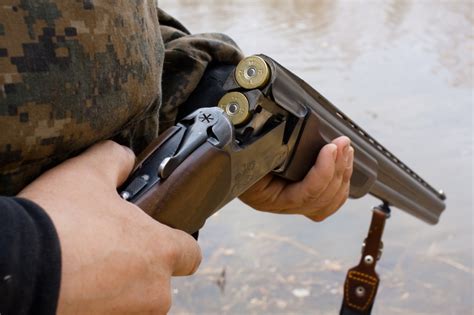 The 5 Very Best Survival Guns Off The Grid News