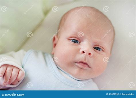 Adorable Baby Boy With Blue Eyes Stock Photo Image Of Portrait Small