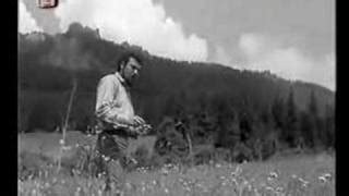 17k likes · 86 talking about this · 150 were here. Waldemar Matuška - Píseň pro Kristýnku - text ...