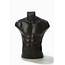 Black Color Male Armless Torso In Natural Pose Torsos Mannequins 