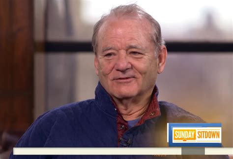 Bill Murray Was Allegedly 'Handsy' With Women On The Set Of Being ...