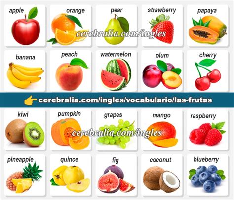 🥇【 Vocabulario De Las Frutas En InglÉs 】 ️