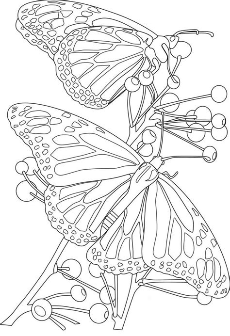We did not find results for: Printable Butterfly And Flower Coloring Pages | Flower ...