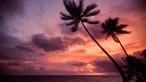 ● these images will fit any 21:9 screen. Sunset 4k Ultra HD Wallpaper | Background Image ...