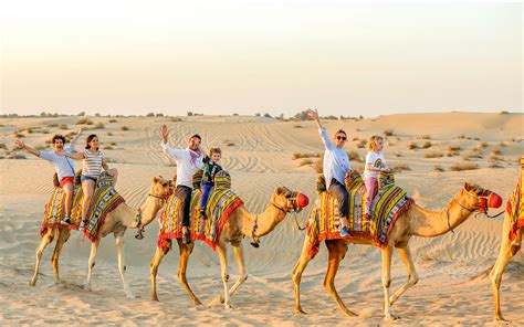 Best Dubai Desert Safari Tours Dune Bashing Sandboarding