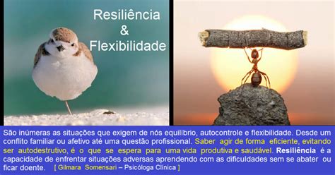 Capacidad de adaptación de un ser vivo frente a un agente. RESILIÊNCIA E FLEXIBILIDADE NO SÉC. XXI « Conteúdo que ...