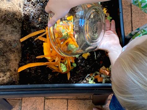 Composting With A Preschooler Using A Worm Farm Vermi Composting