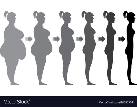 Stages Weight Loss Female Figure Royalty Free Vector Image