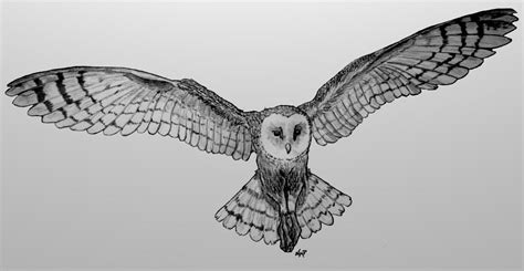 Barn Owl Flying By Skoppio On Deviantart